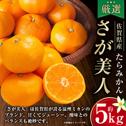 O95x1 たらみかん「さが美人」5kg 太良町 さが 佐賀 温州みかん みかん ミカン さが美人 ブランドみかん 甘いみかん JA ジューシー 柑橘 マルチ栽培 甘い 贈り物 贈答 [2026年10月下旬-12月下旬発送予定]