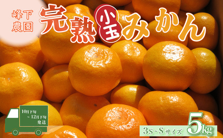 L124x1 峰下農園の完熟みかん（小玉）５ｋｇ　【2026年11月上旬-12月下旬発送予定】フルーツ 果物 くだもの 柑橘 みかん ミカン 蜜柑 柑橘 たらみかん 太良みかん 温州みかん 完熟みかん 国産 佐賀県産 こだわり 産地直送 贈答品 詰め合わせ セット 小玉 甘熟 極甘 佐賀県 太良町