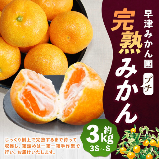 L102x1　早津みかん園の完熟プチみかん 3kg　みかん ミカン 蜜柑 温州みかん 完熟みかん 甘熟 柑橘 有機栽培 国産 佐賀県産 太良町  【2026年10月下旬～2026年11月下旬発送予定】