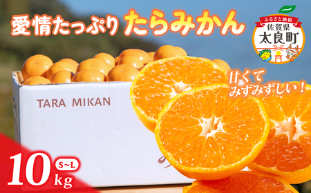 N199x1 愛情たっぷりたらみかん 10kg　みかん ミカン 蜜柑 たらみかん 温州みかん 完熟みかん 甘熟 柑橘 有機栽培 国産 佐賀県産 太良町 こだわり 贈答品 産地直送 詰め合わせ 極甘 【2026年11月上旬-12月下旬発送予定】