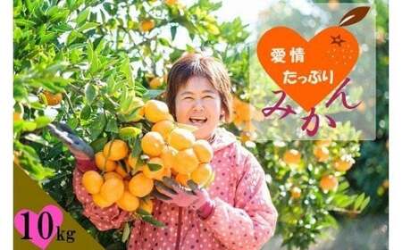 N218x1 愛情たっぷりたらみかん（大玉）10kg　みかん ミカン 蜜柑 たらみかん 太良みかん 温州みかん 完熟みかん 甘熟 早熟 柑橘 国産 佐賀県産 太良町 こだわり 有機栽培 産地直送 贈答品 詰め合わせ 極甘 大玉 【2026年11月上旬-12月下旬発送予定】