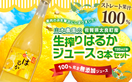 山本農園の生搾りはるか　３本セット ジュース オレンジジュース みかんジュース みかん ブランドみかん オレンジ フルーツ  柑橘  生搾り はるか 新鮮 国産みかん 完熟みかん 佐賀県 太良町 NC15