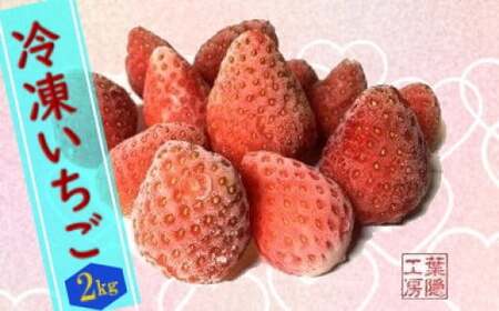 冷凍いちご 2kg いちご イチゴ 苺 冷凍 新鮮 水洗い くだもの 果物 フルーツ アレンジ 旬