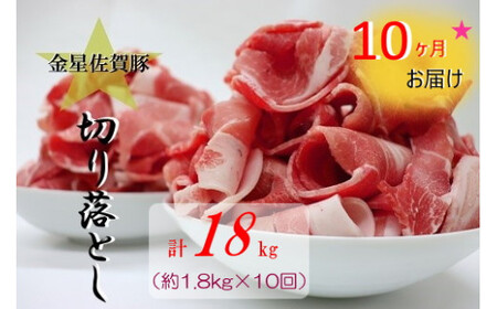 TA3x1【10ヶ月定期便】金星佐賀豚 切り落とし(300g×6パック)10回お届け ブランド豚 国産 真空パック 小分け 冷凍 ギフト 贈り物  定期便 