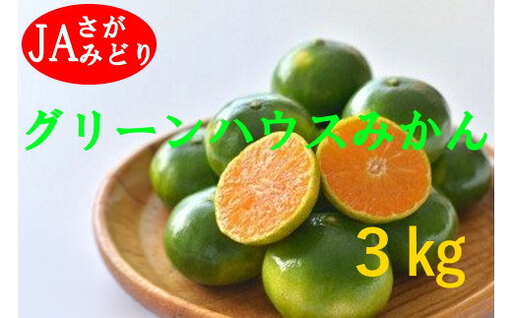 O150x1 すっきり爽やか！！グリーンハウスみかん 3kg みかん ミカン 蜜柑 フルーツ くだもの 果物 ミネラル豊富 太良町 国産 贈答用 【2026年7月下旬-8月下旬発送予定】