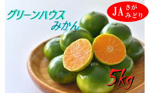 P57x1 すっきり爽やか！！グリーンハウスみかん ５kg 夏 みかん ミカン 蜜柑 フルーツ くだもの 果物 ミネラル豊富 太良町 国産 産地直送 贈答用 【2026年7月下旬-8月下旬発送予定】