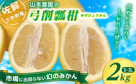 山本農園の珍果　弓削瓢柑（ゆげひょうかん）２kg ひょう柑 みかん 蜜柑 ミカン おれんじ オレンジ フルーツ 果物 くだもの ジューシー 柑橘 国産 完熟 ジューシー プレゼント 贈り物 ギフト 希少 レア 佐賀県 太良町 L74x1 【2027年3月上旬～4月下旬】