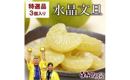 [先行予約]高知県産水晶文旦 特選ご贈答用 2Lサイズ 3個入り[2026年10月上旬?11月上旬頃発送] / ぶんたん ブンタン 水晶文旦 果物 柑橘 フルーツ お取り寄せ 特産品 おいしい[白木果樹園][BQAI017]
