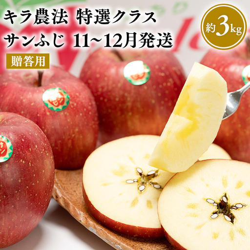 りんご 贈答用 特選 サンふじ 約3kg [hi-0008-009]