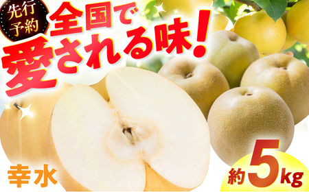 梨 幸水 5kg【先行予約2026年7月下旬より発送】果物 福岡県産 [AFAB060]