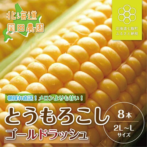 [寄附額を見直しました][令和8年発送先行予約]北海道七飯町産とうもろこし「ゴールドラッシュ」8本セット NAZ013 | とうもろこし