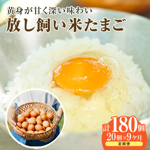 【９か月定期便】放し飼い米たまご15個+5個保証（計20個）農家直送 新鮮 卵 タマゴ 赤卵 玉子 鶏卵 朝食 夕食 夜食 朝ごはん たまご焼き オムレツ 卵ご飯 料理 濃厚 飼料にこだわった 卵かけご飯 米たまご 生卵 大容量 お取り寄せ 愛知県 常滑市