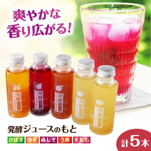 [お中元対象]発酵ジュースのもと 飲み比べ5本セット[かぼす・ゆず・赤しそ・うめ・すもも]ジュース 飲み比べ ギフト 果実飲料[ARDA006]