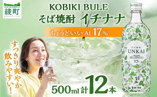 【雲海酒造】雲海そば花酵母仕込み-イチナナ- そば焼酎 17度12本セット_A0087-017