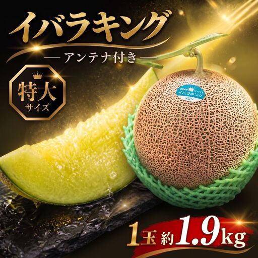 [贈答用]イバラキング(青肉メロン) 1玉入 青肉品種 根﨑メロン! / イバラキング 果物 フルーツ ギフト 農家直送 nsn002_X1