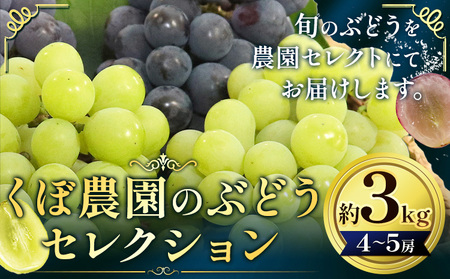【2026年先行予約】くぼ農園 の ぶどう セレクション 約 3kg (4～5房) くぼ農園 《2026年9月上旬-10月上旬頃出荷(土日祝除く)》マスカット 送料無料 岡山県 浅口市 マスカット フルーツ 果物 贈り物　シャインマスカット ニューピオーネ 瀬戸ジャイアンツ
