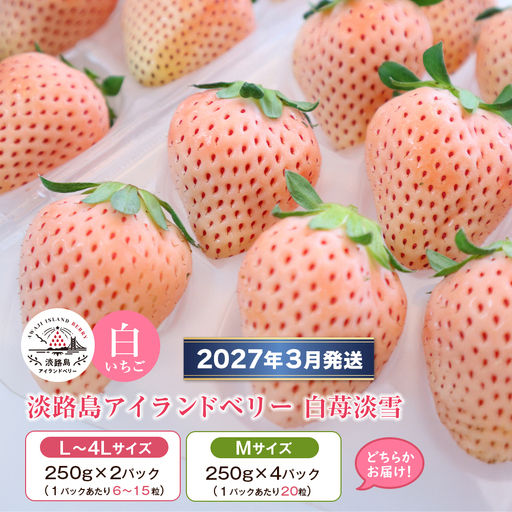 淡路島アイランドベリー 白苺淡雪 2～4パック入【2027年3月発送予約受付・お届け日指定不可】　苺