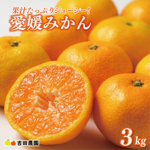 【愛媛みかん】 3kg みかん