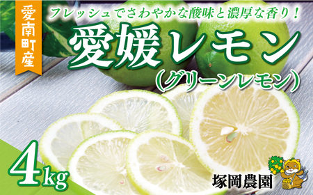 数量限定 愛媛 レモン （ グリーンレモン ） 4kg 10000円 柑橘 サイズ 不揃い 贈答用 ギフト 家庭用 檸檬 国産 フルーツ 果物 果実 産地直送 農家直送 期間限定 特産品 瀬戸内 ワックス 防腐剤 不使用 果汁 人気 新鮮 レモネード 塩レモン レモン酢 レモンソース はちみつレモン レモンケーキ レモンスカッシュ レモンサワー レモン酎ハイ ビタミン 愛南町 愛媛県 塚岡農園【tsukaoka06】