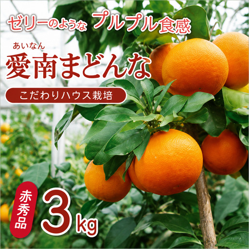 【紅まどんなと同品種】【贈答用】 まどんな 3kg