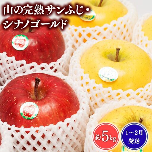 りんご 山の完熟サンふじ・シナノゴールド 約5kg 青森県平川市 [hi-0010-007]