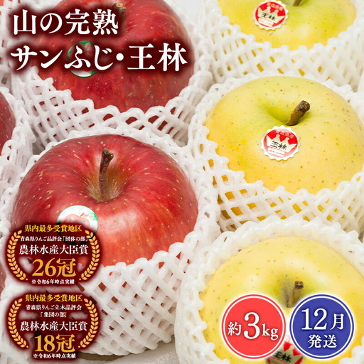 りんご 山の完熟サンふじ・王林 合計約3kg [hi-0010-010]