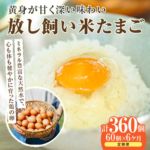 【6か月定期便】放し飼い米たまご55個+5個保証（計60個）農家直送 新鮮 卵 タマゴ 赤卵 玉子 鶏卵 朝食 夕食 夜食 朝ごはん たまご焼き オムレツ 卵ご飯 料理 濃厚 飼料にこだわった 卵かけご飯 米たまご 生卵 大容量 お取り寄せ 愛知県 常滑市