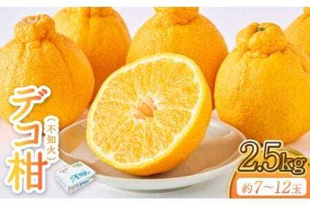先行予約 不知火 果実の宝箱デコ柑不知火 約2.5kg 7玉〜12玉 2027年3月上旬から6月中旬順次発送予定 田辺農園