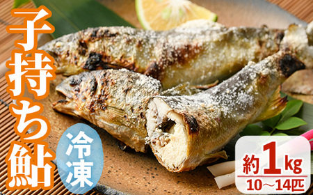 冷凍子持鮎(約1kg・10〜14匹) 冷凍 小分け 国産 養殖 [ME-03][米良水産]