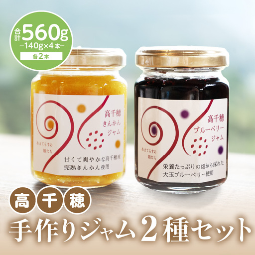 高千穂手作りジャム2種セット【きんかん＆ブルーベリー各2本】 金柑 ブルーベリー フルーツ 果物 ジャム ジャムセット マーマレード 手作りジャム パン カナッペ 贈答 贈り物 ギフト 国産 宮崎県産 高千穂町産 特産品 おすすめ 瓶 宮崎県 高千穂町 _Tk050-006