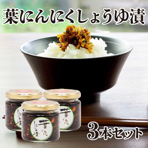 葉にんにくしょうゆ漬け3本セット 葉にんにく 醤油漬け にんにく セット 詰め合わせ 調味料 調味 薬味 万能調味料 ごはんのお供 おつまみ つまみ 漬物 野菜 おかず 高千穂町産 国産 特産 特産品 加工品 加工食品 グルメ お取り寄せ 宮崎県 高千穂町 _Tk050-007