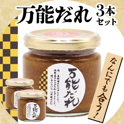 万能だれ3本セット 白長ねぎ 調味料 調味 薬味 万能調味料 ごはんのお供 おつまみ つまみ おかず お弁当 高千穂町産 国産 特産 特産品 加工品 加工食品 グルメ 贈答 贈り物 ギフト プレゼント お祝い 内祝い 普段使い お取り寄せ 宮崎県 高千穂町 _Tk050-008
