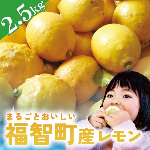 Z14-01 福智町産 無農薬 レモン 2.5kg 約16～20個