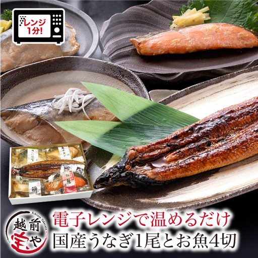 煮魚 焼魚 4種4切+うなぎ蒲焼1尾セット[A-088004]  