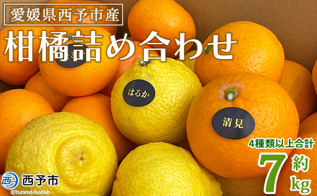 ＜愛媛県西予市産 柑橘詰め合わせ 合計約7kg＞ 果物 フルーツ お任せ おまかせ お楽しみ みかん ミカン 蜜柑 食べ比べ 詰合せ セット ご家庭用 柑橘 特産品 夕焼け山農園 愛媛県 西予市 【常温】『2026年1月上旬～4月中旬頃迄に順次出荷予定』AYN0010