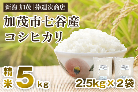 【令和6年産米】七谷産コシヒカリ 精米5kg（2.5kg×2袋） 白米 捧運次商店