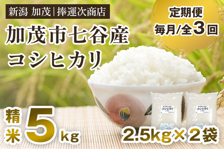 【令和6年産米】【定期便3回毎月お届け】七谷産コシヒカリ 精米5kg（2.5kg×2） 白米 捧運次商店 定期便