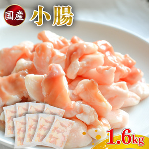【国産】 小腸 ホルモン 200g×8パック 小腸 牛肉 もつ鍋 焼肉 冷凍 個包装