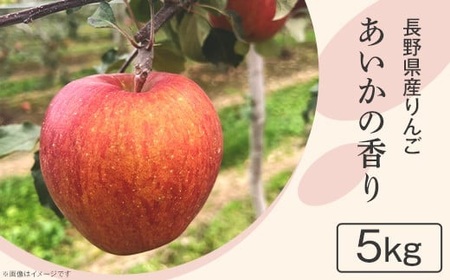 2407長野県産りんご（あいかの香り）5kg