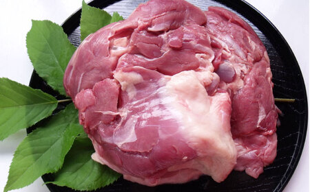 土佐鴨モモ肉【骨付き】（フレッシュ冷蔵）1羽分（約350ｇ?約500ｇ） | 土佐鴨・土佐ジロー飼育研究会【グレイジア株式会社】 [ATAC587]