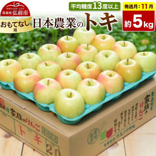 【26年11月発送】りんご トキ【おもてなし用】約5kg 平均糖度13度以上 青森県 弘前市 果物 フルーツ 林檎 リンゴ くだもの