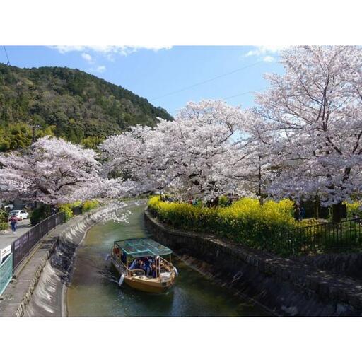 【びわ湖疏水船：三井寺便】春シーズン先行予約権（１名様分の先行予約の権利と乗船引換券）