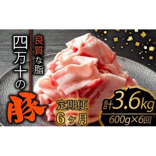 【 豚肉切り落とし 】 豚肉定期便 6回 (600gx6)