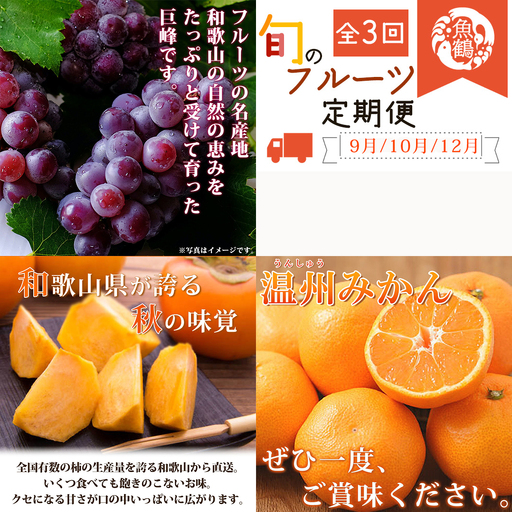 【全3回】紀州和歌山産旬のフルーツセット(巨峰・ひらたね・みかん)  / 果物定期便 フルーツ定期便 みかん オレンジ 柑橘 くだもの 果物 かき カキ ぶどう 巨峰 【tkb397】