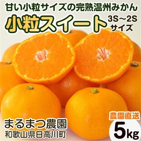 【2026年12月～2027年1月発送】濃厚完熟 木成り温州みかん 小粒スイート 5kg 和歌山県産【配送不可地域：離島】【1553369】