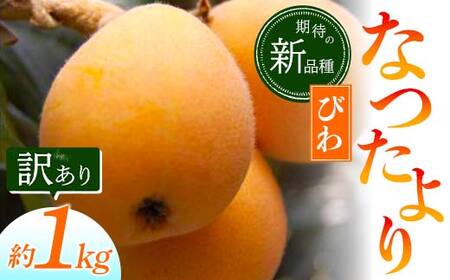 【先行予約2027年5月～6月頃お届け】【香川県共通返礼品】なつたよりびわ 約1kg 訳あり びわ なつたより 大玉 柔らかい 香川県共通返礼品 食品 名産 四国 香川 F5J-673