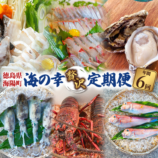 【定期便全６回】海陽町の『海の幸』定期便 クエ クエ鍋 牡蠣 アマダイ シマアジ アオリイカ 伊勢海老