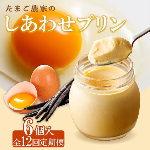 【定期便12ヶ月】たまご農家のしあわせプリン 6個セット デイリーファーム たまご 幸せ プリン 瓶入り デザート スイーツ おやつ 卵 鶏卵 ココテラス なめらかプリン 洋菓子 米卵 常滑牛乳 お菓子 ギフト プレゼント グルメ お取り寄せ 愛知県 常滑市 定期便
