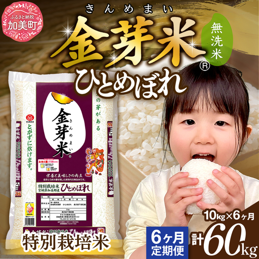 【新米予約】金芽米 定期便10kg×6回 金芽米