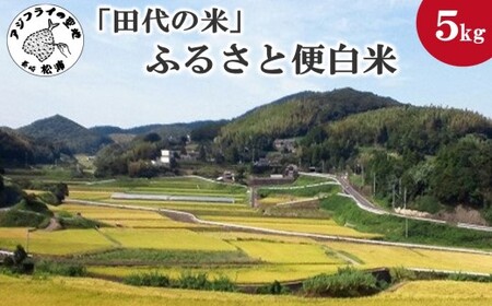 「田代の米」ふるさと便白米(令和6年産米)5kg( 米 白米 ご飯 コシヒカリ ヒノヒカリ 単一原料米 送料無料 )【B3-070】